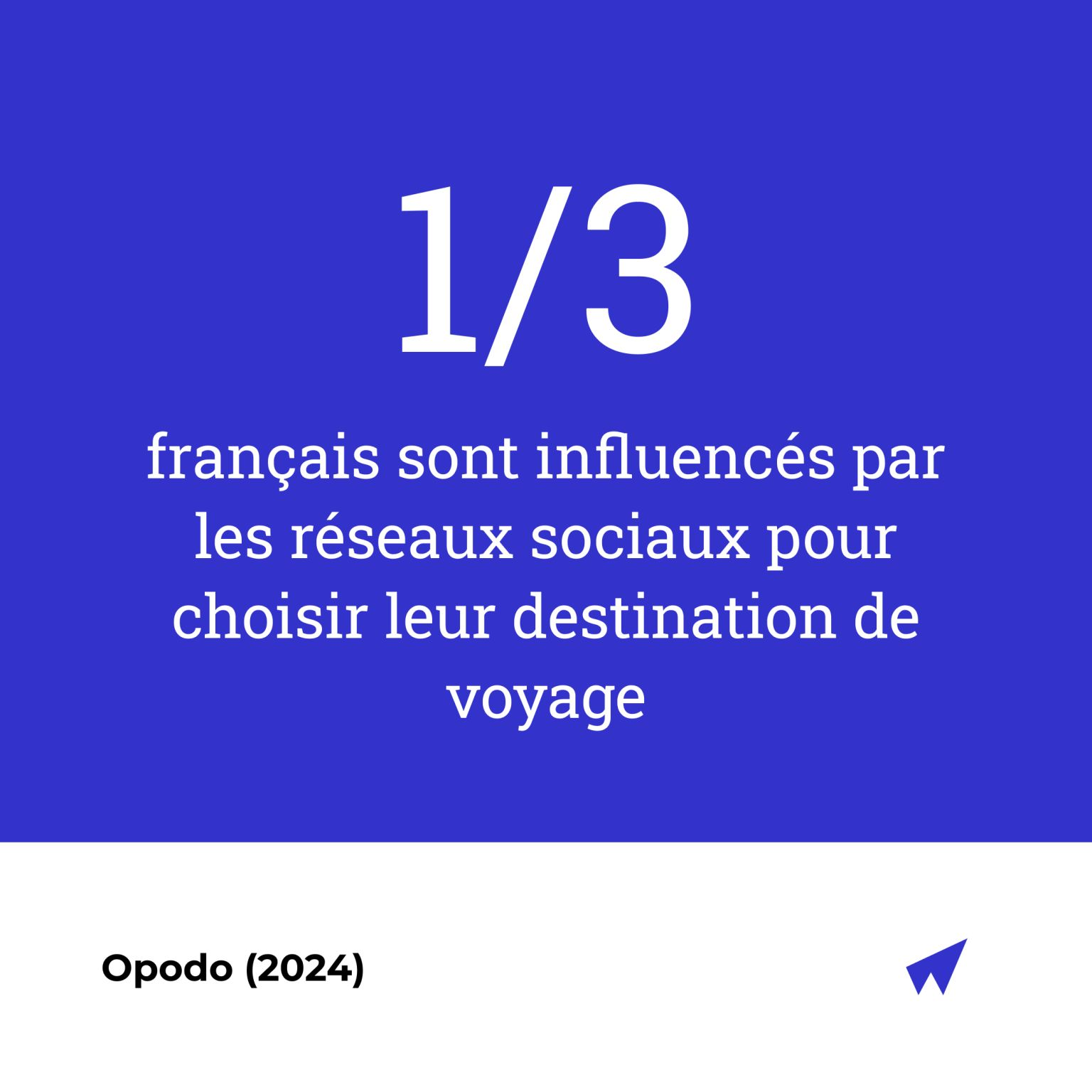 1/3 des français sont influencés par les RS